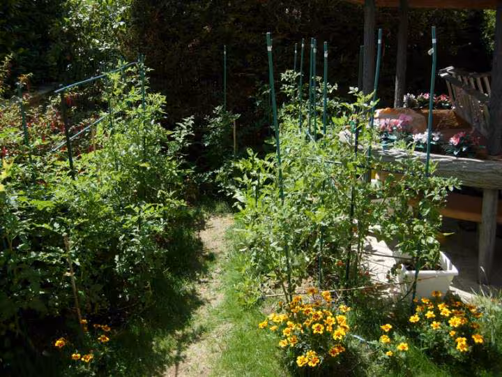 Potager
