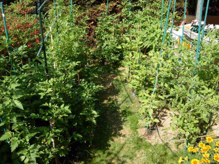 Potager