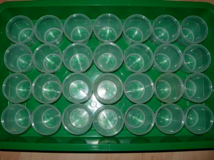 Pots
