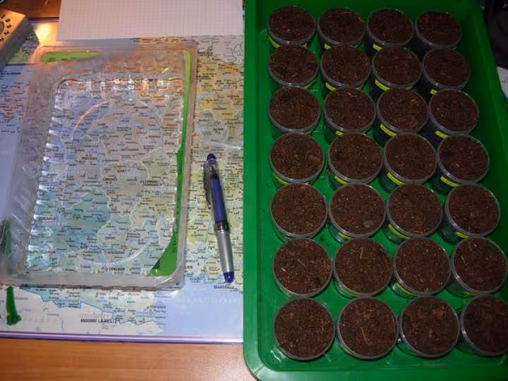 Prepare