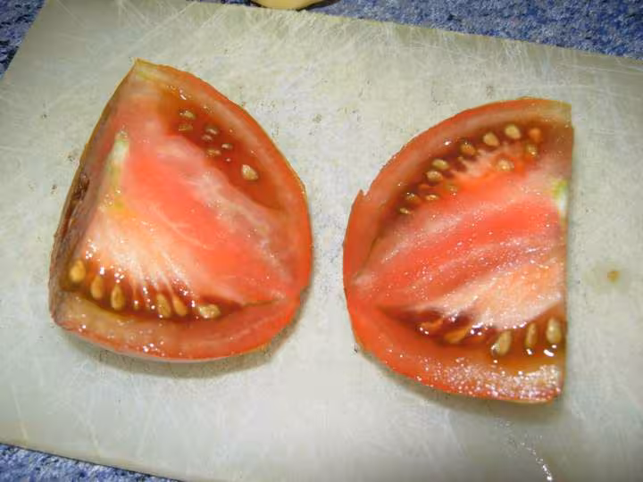 Tomate