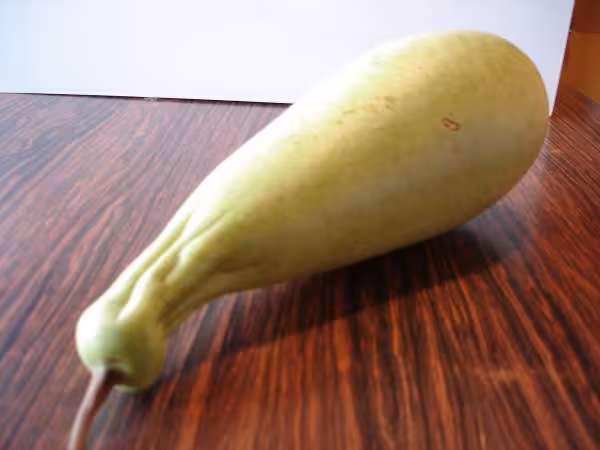 Legume du nepal