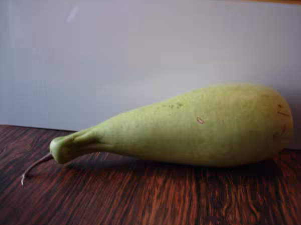 Legumes du nepal