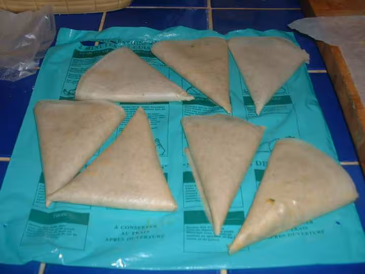 Bricks a la viandeet aux legumes