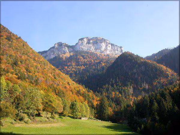 Automne