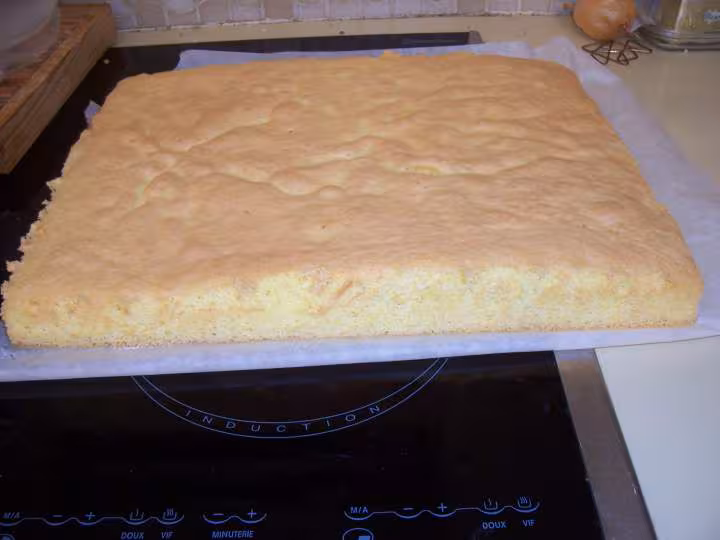Gateau style genoise