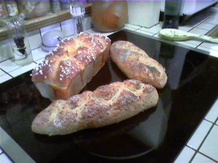 Pains sur levain fermenticible