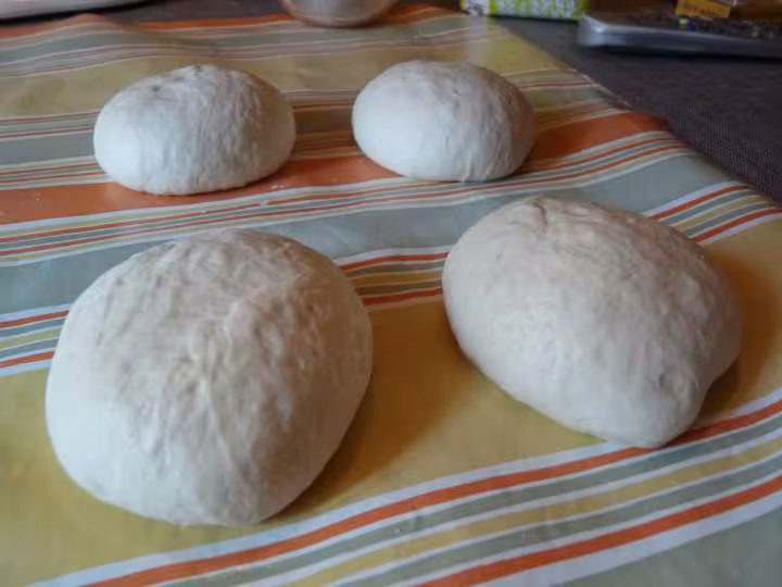 Patons