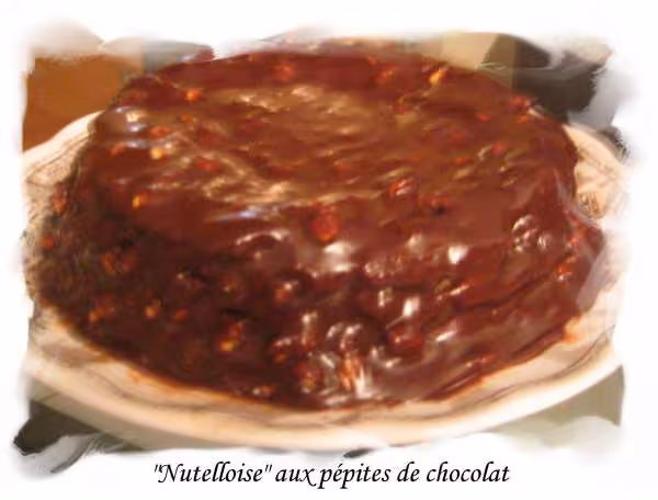 Nutelloise aux pepites de chocolat