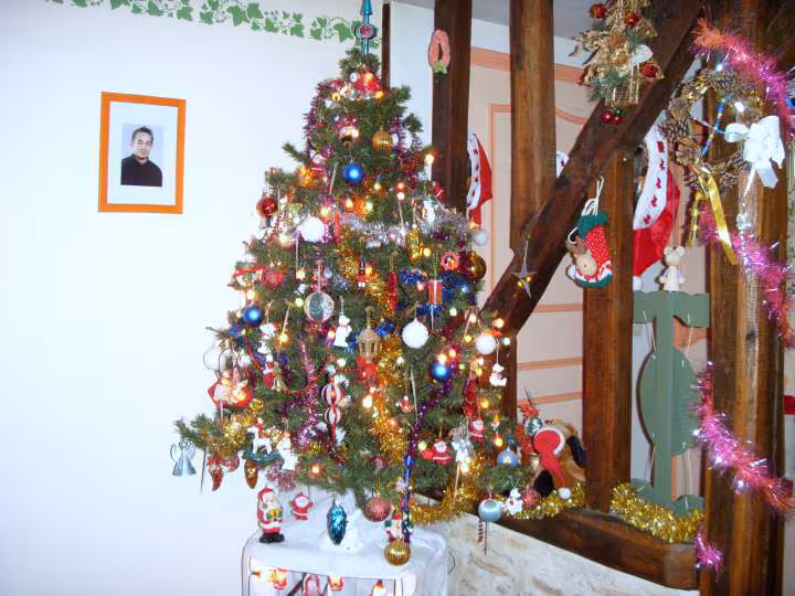 Notre sapin 2008