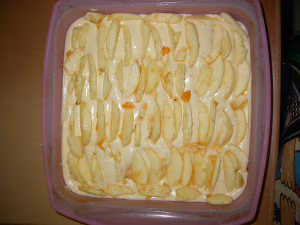 Fondant aux pommes by salamandrerose 2