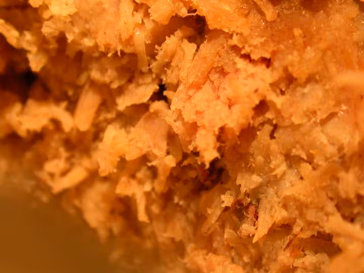 Rillettes allegees de dinde facon helena