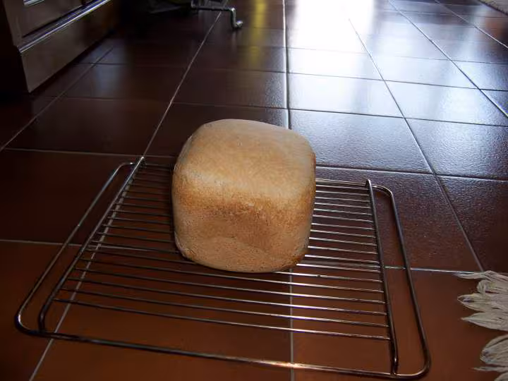 Pain francais au lait fermente