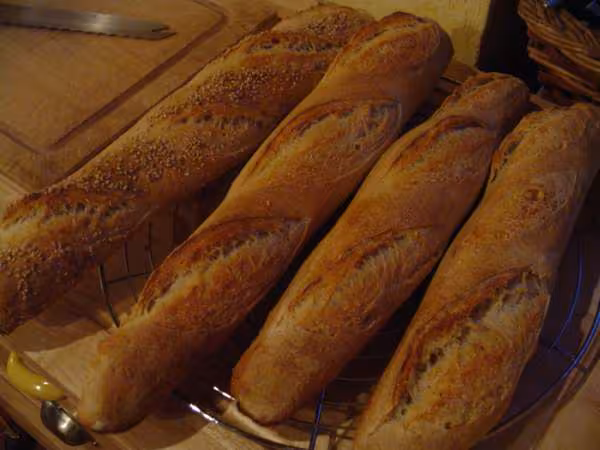 Baguettes levain