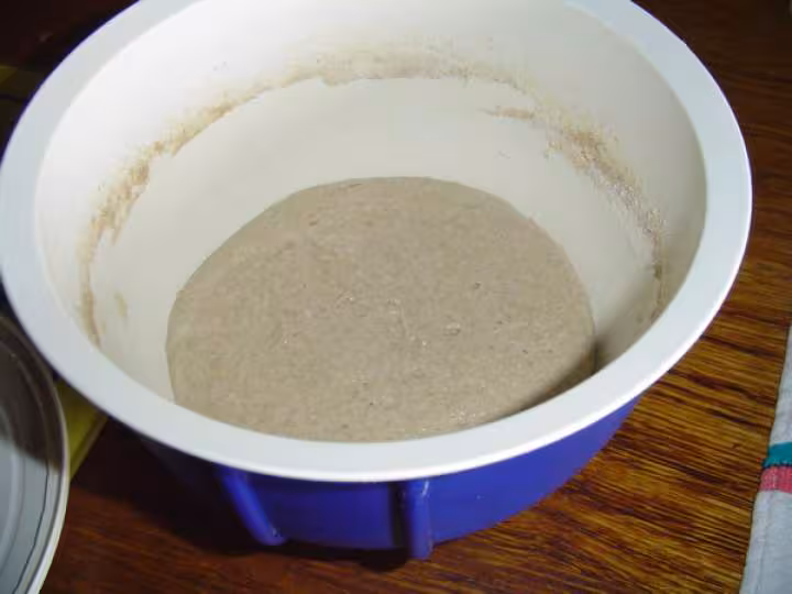 Levain