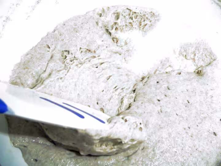 Levain