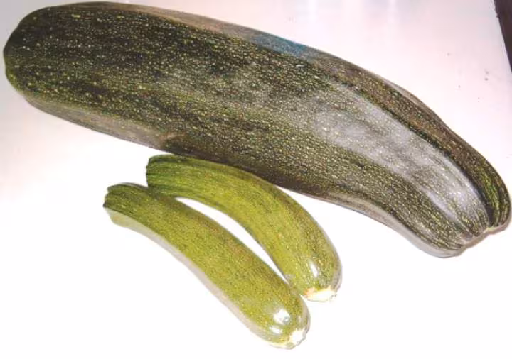 Courgette surprise
