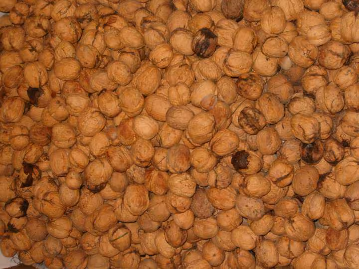 Des noix des noix