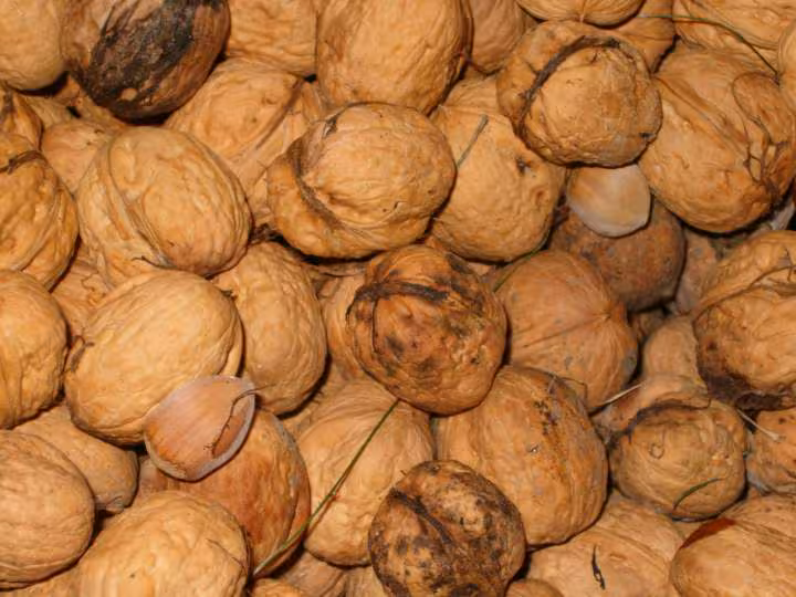 Des noix des noix