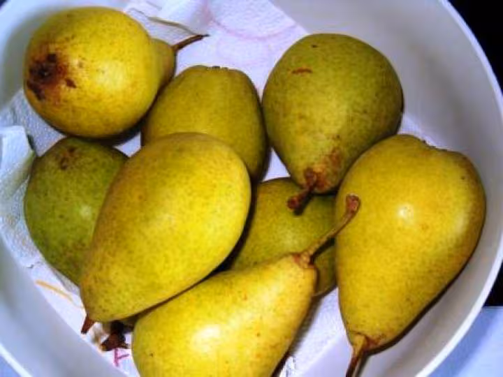 Poire du pre sur le paradis