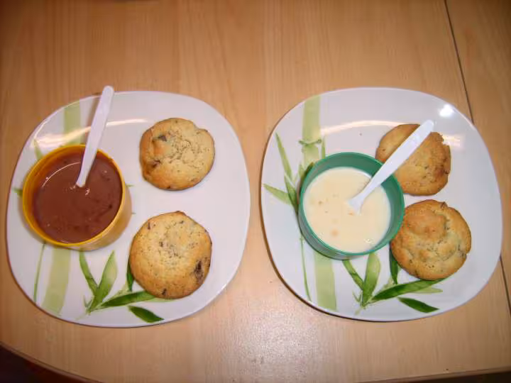 Creme et cookies salamandrerose