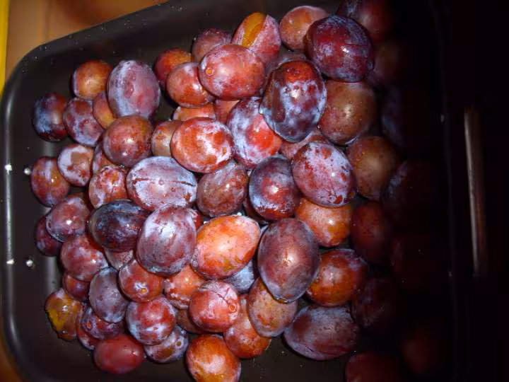 Egoutter