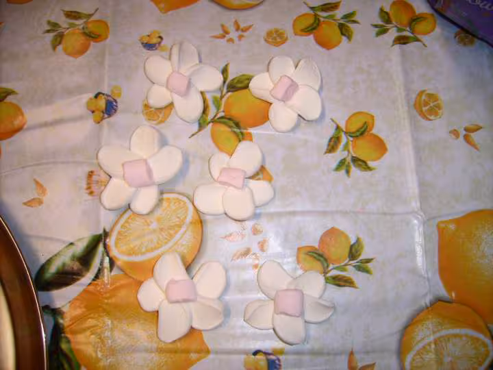 Fleurs en guimauves