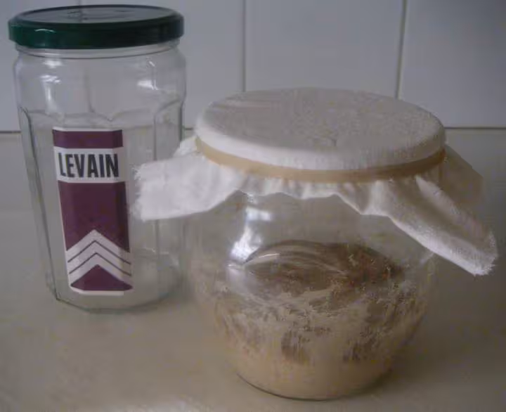 1er levain