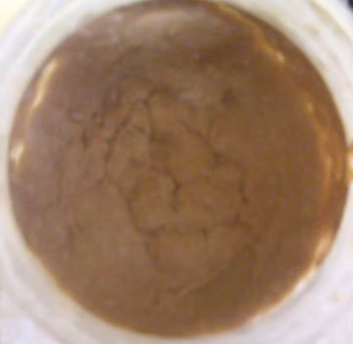 Levain230207