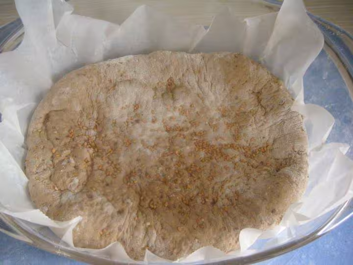 Paton cocotte