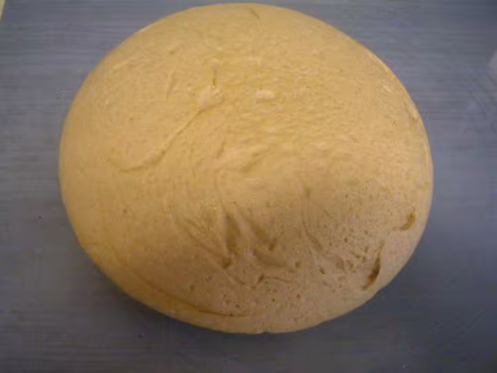 Paton016