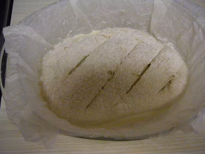 Paton06g