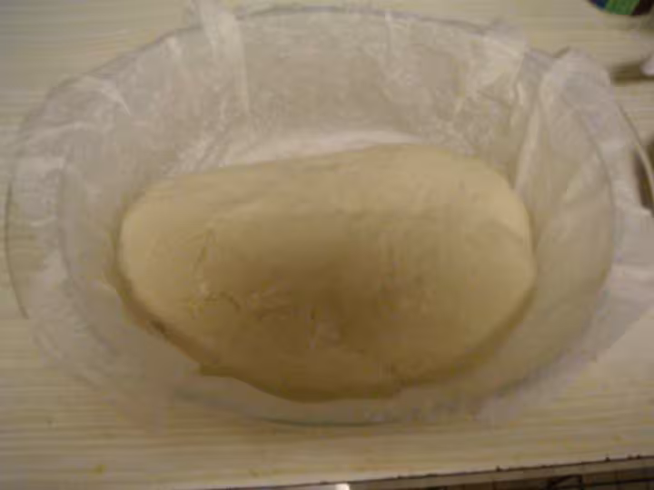 Paton06l