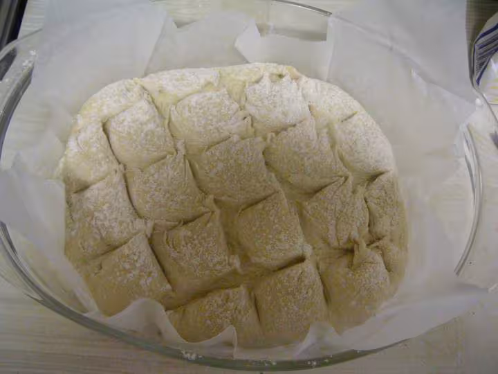 Paton13g