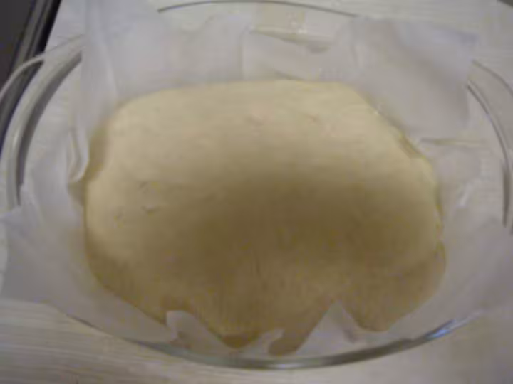 Paton13l