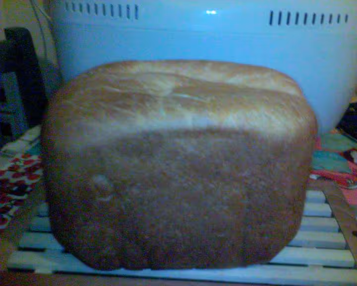 Brioche gache vendeenne