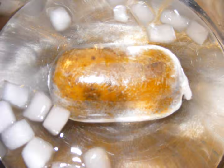 Foie gras tm dans son bain glace juste sorti du tm