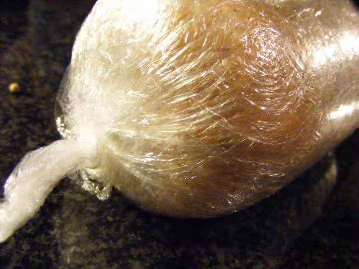 Foie gras tm derniere couche de film