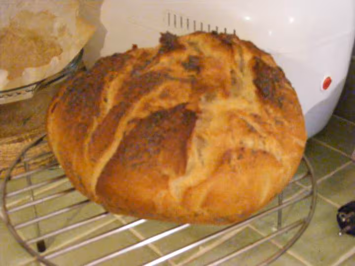 Boule ciabatta au levain