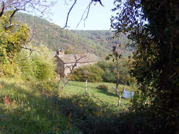 Paysage cevenol