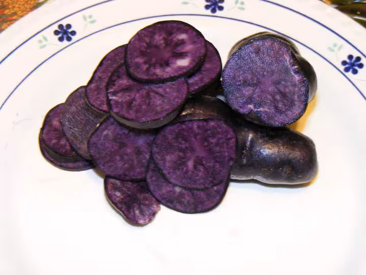 Pommes de terre la vitelotte