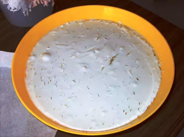 Mon fromage blanc fait a la meson
