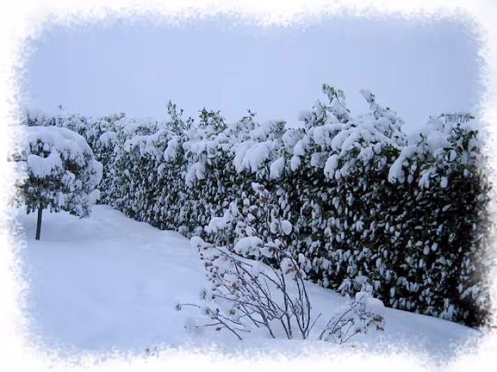 Encore plus sous la neige