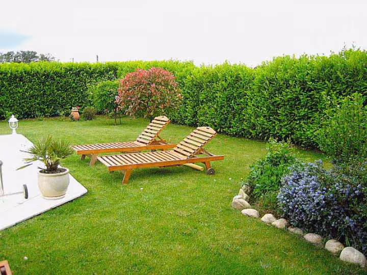 Une partie du jardin