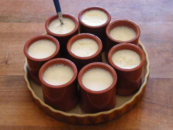 Yaourts maison