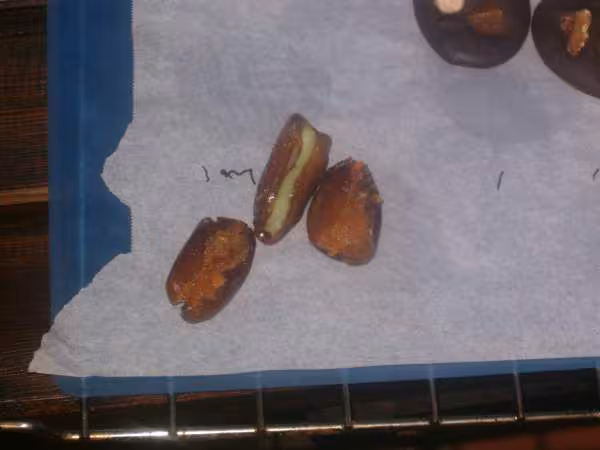 Les dattes fourees