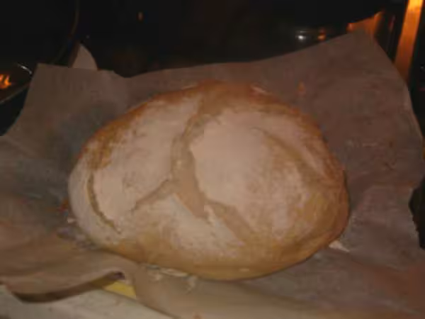 Miche cocotte