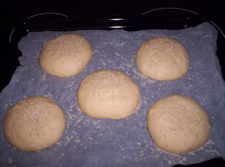 Hamburgers en pousse recette de mamnhelene je les fais souvent