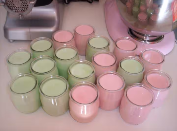 Mes yaourt au x sirops fraise et menthe