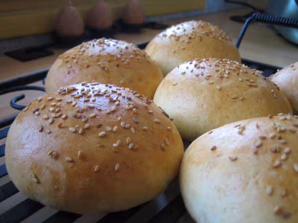 Burger et hot dog buns